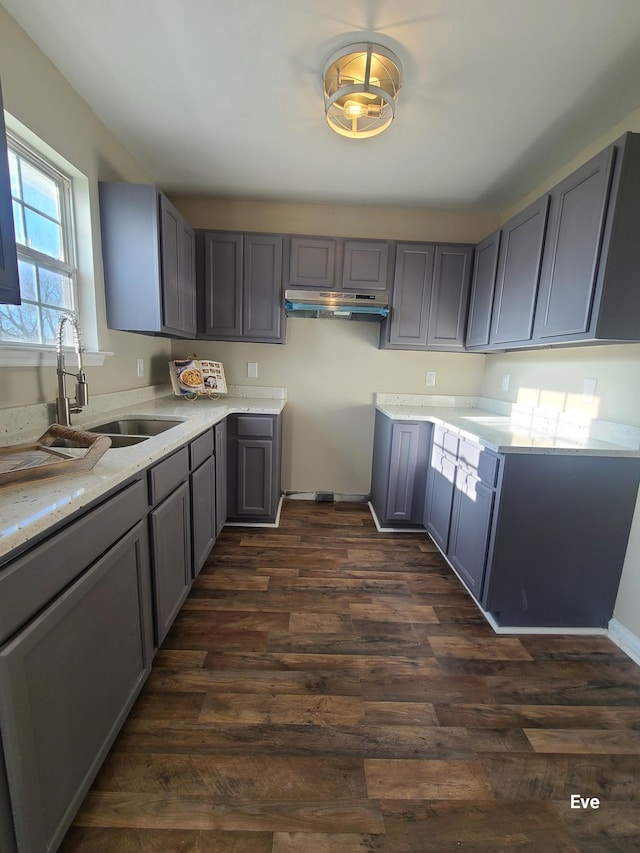 kitchen with dark hardwood / wood-style flooring, sink, gray cabinets, and light stone countertops