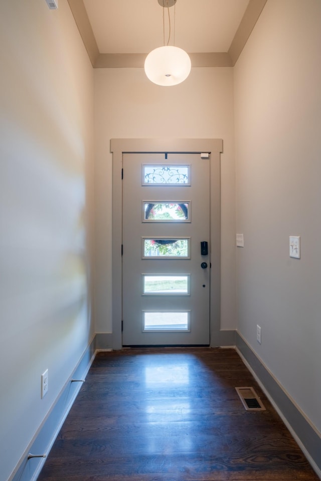 entrance foyer with dark wood-type flooring