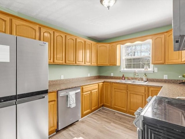 kitchen featuring sink, light hardwood / wood-style flooring, and appliances with stainless steel finishes