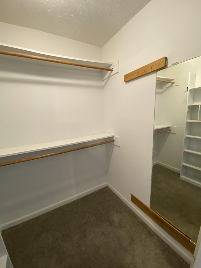 spacious closet featuring dark colored carpet