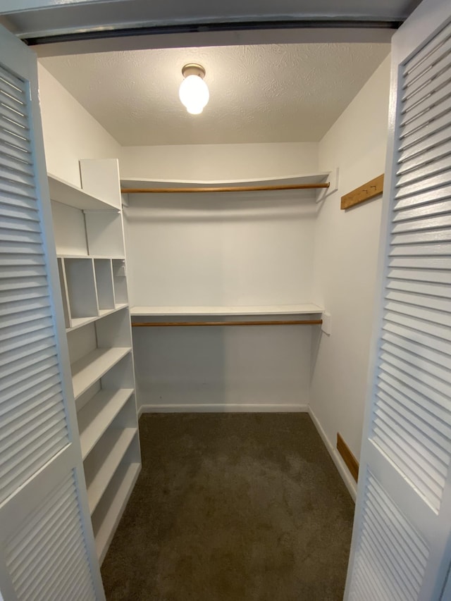 spacious closet with dark carpet