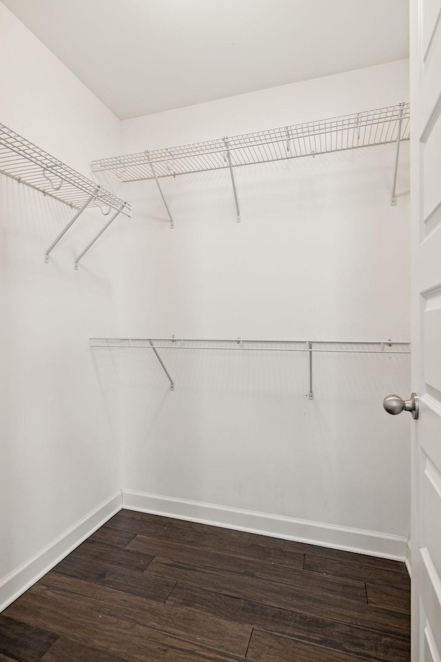 walk in closet with dark wood-type flooring