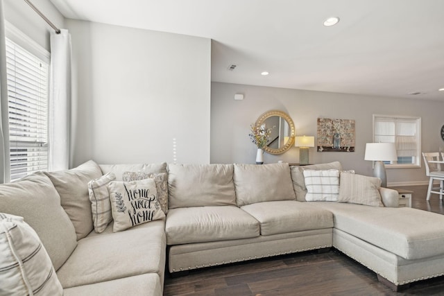 living room featuring dark wood-type flooring