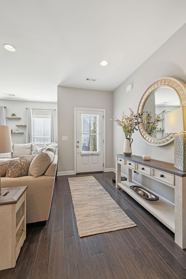 foyer entrance featuring dark wood-type flooring and a wealth of natural light