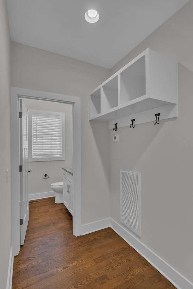 mudroom featuring dark hardwood / wood-style floors