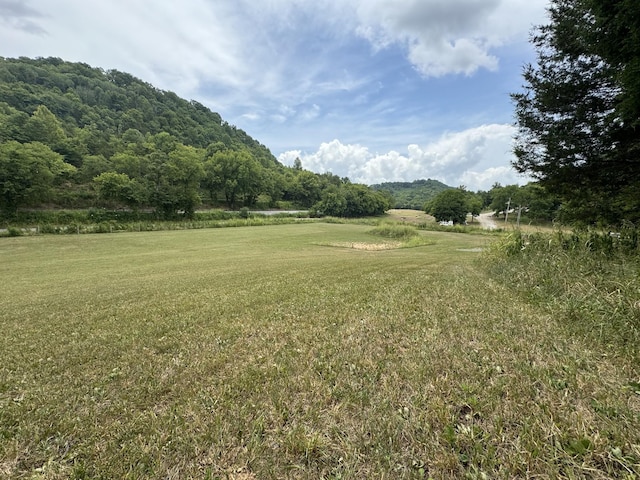 17465 Happy Hollow Rd, Buffalo Valley TN, 38548 land for sale