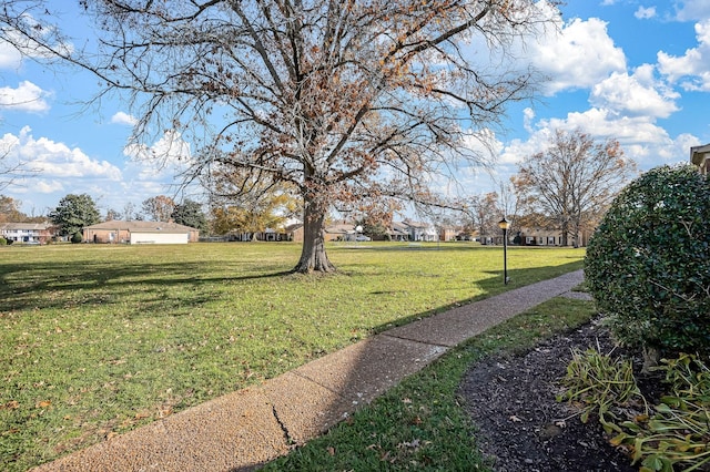 view of yard with a garage