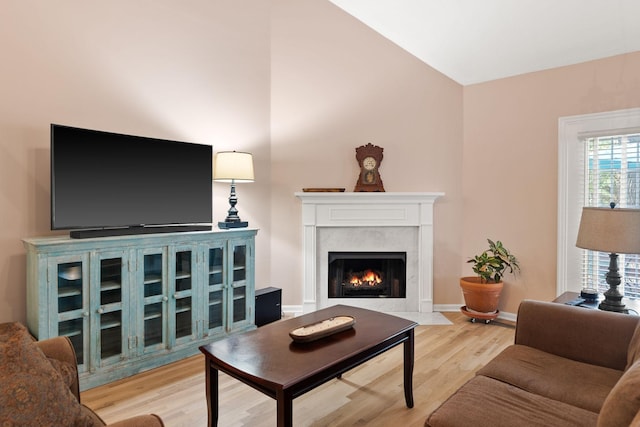 living room featuring a premium fireplace and hardwood / wood-style flooring