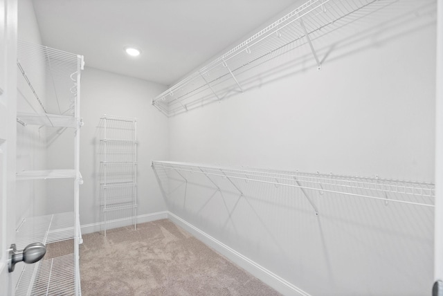 spacious closet with carpet flooring