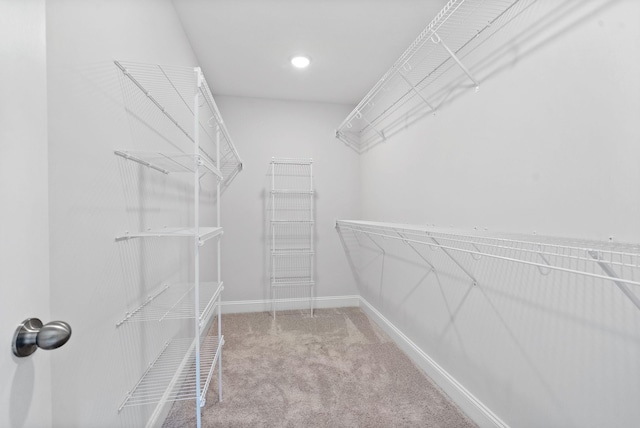 walk in closet featuring carpet