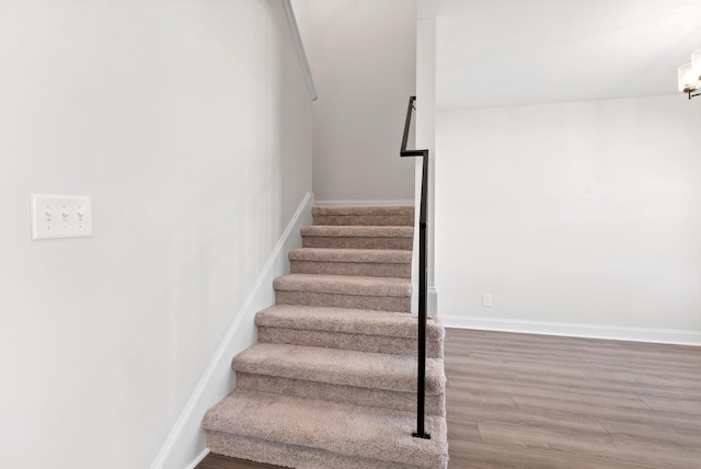 staircase with wood-type flooring