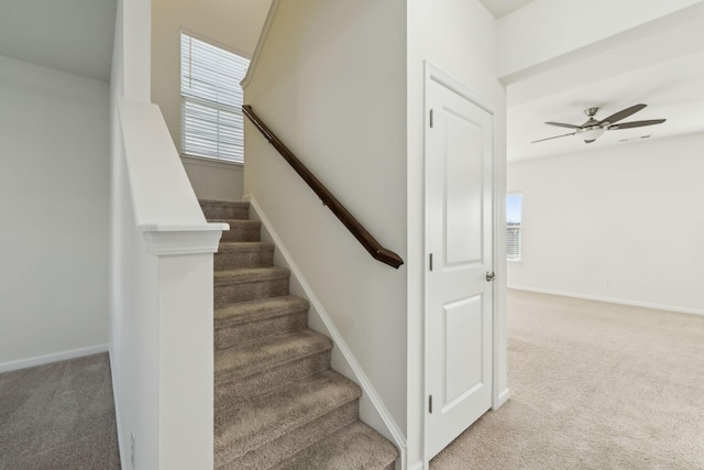 stairs with ceiling fan and carpet flooring