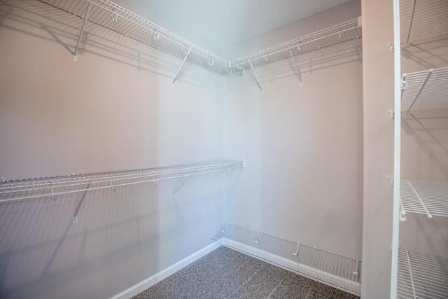 spacious closet featuring carpet floors