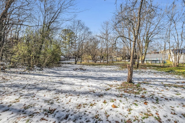 view of yard covered in snow