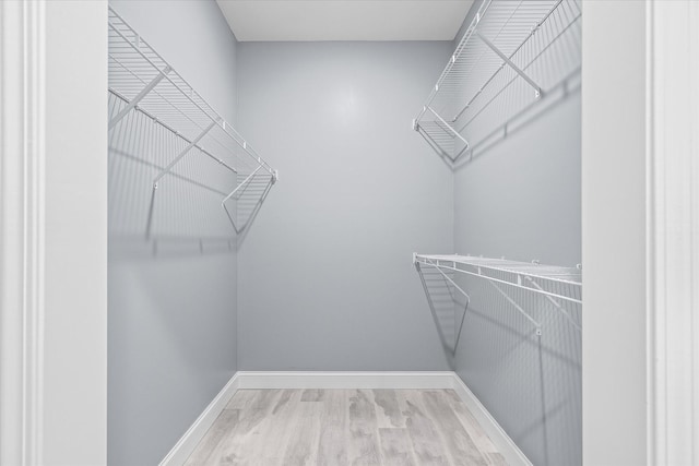 spacious closet featuring wood-type flooring