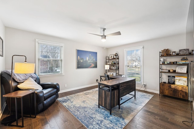 office featuring ceiling fan and dark hardwood / wood-style floors