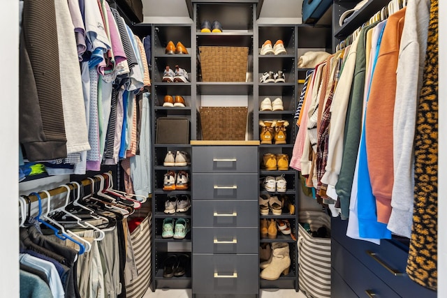 view of spacious closet