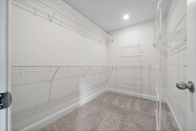 walk in closet featuring carpet flooring