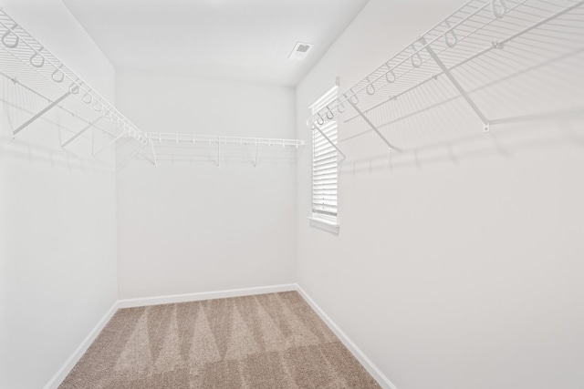 walk in closet featuring carpet