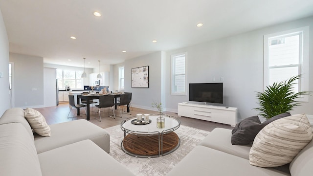 living room featuring hardwood / wood-style floors