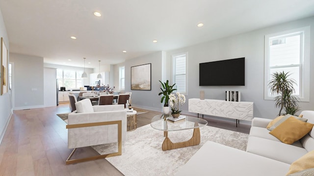 living room featuring light hardwood / wood-style floors