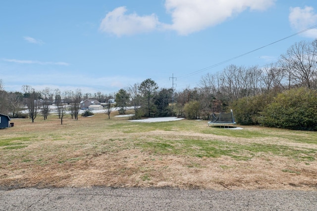 view of yard featuring a trampoline