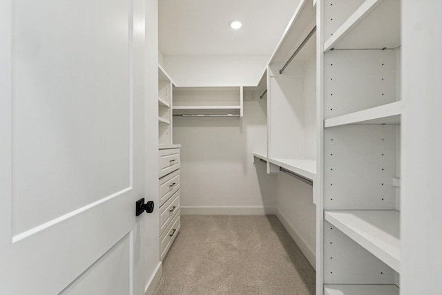 spacious closet with light carpet