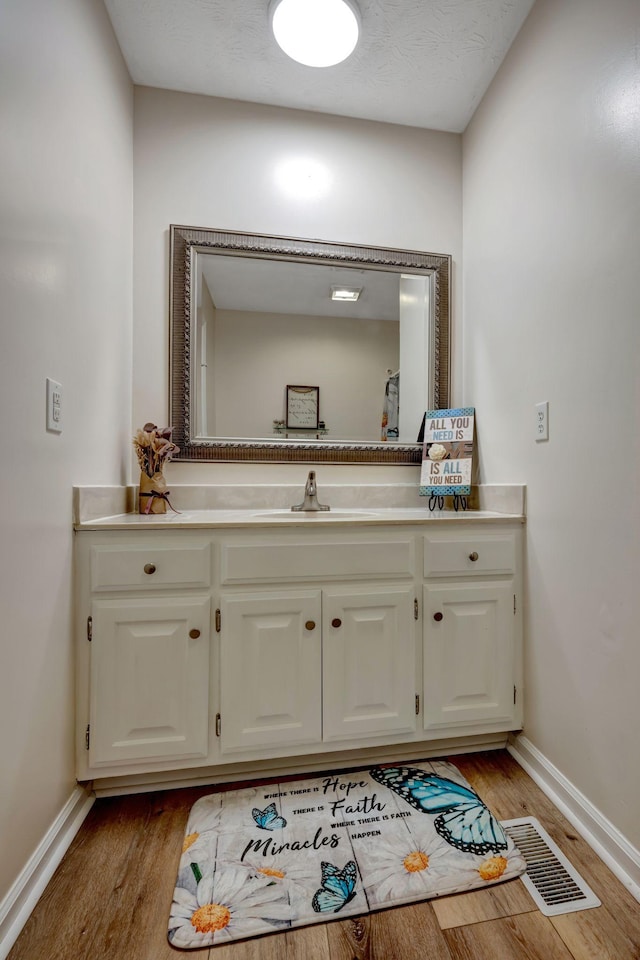 bathroom with wood-type flooring and vanity