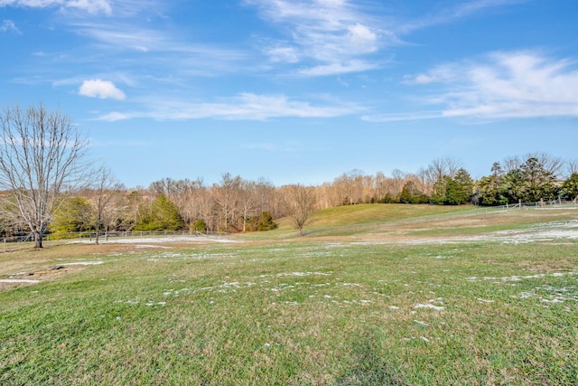 view of yard with a rural view