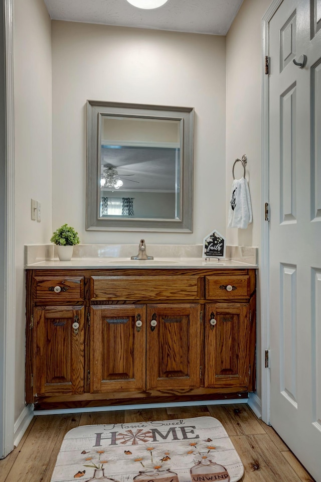 bathroom with hardwood / wood-style flooring and vanity