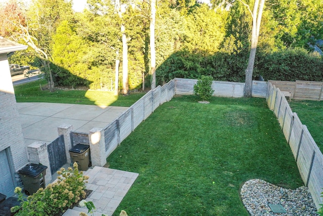 view of yard featuring a patio