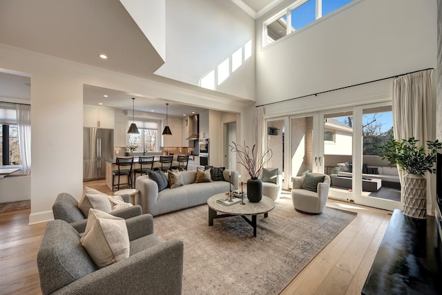 living room featuring light hardwood / wood-style floors and a high ceiling