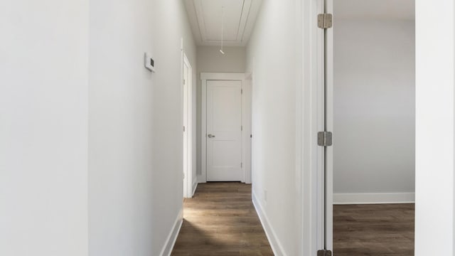 hall with dark wood-type flooring