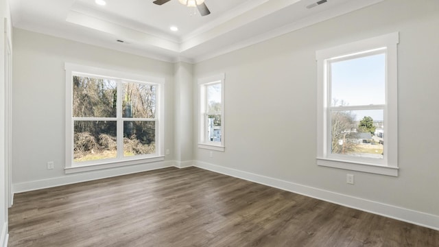 unfurnished room featuring ceiling fan, a wealth of natural light, and a raised ceiling