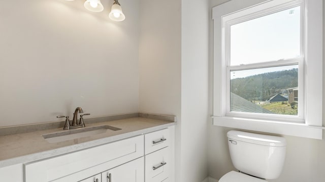 bathroom with toilet and vanity