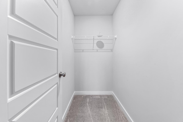 spacious closet featuring carpet floors