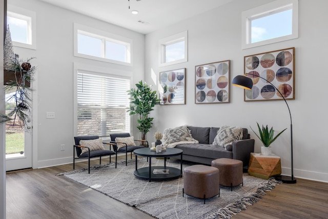 living room with a high ceiling, a wealth of natural light, and wood-type flooring