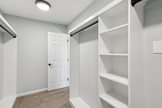 walk in closet with carpet floors