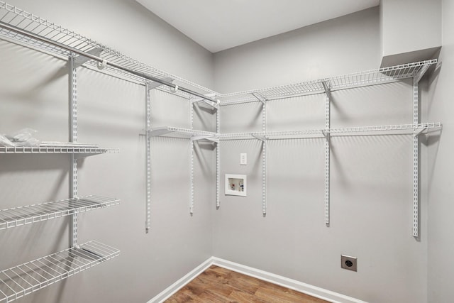 spacious closet featuring wood-type flooring