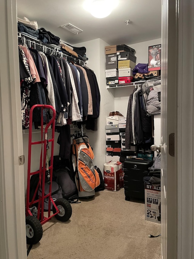 view of spacious closet