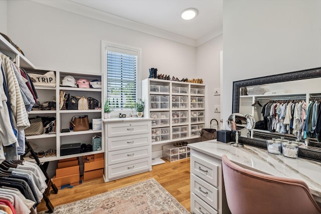 spacious closet featuring light wood-type flooring