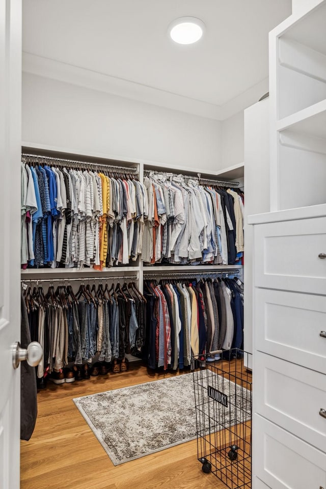 walk in closet with hardwood / wood-style flooring