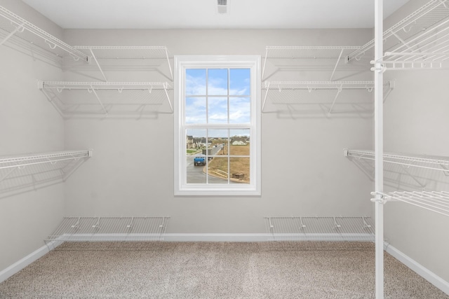 spacious closet with carpet floors