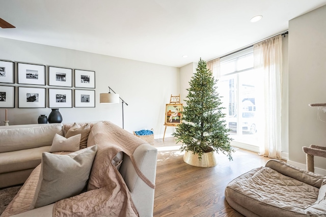 living room featuring wood-type flooring