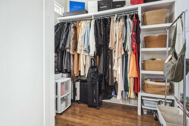 spacious closet featuring dark hardwood / wood-style flooring