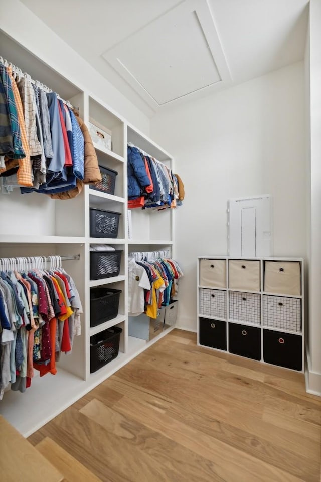 walk in closet featuring hardwood / wood-style flooring