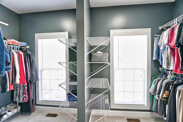 spacious closet with carpet