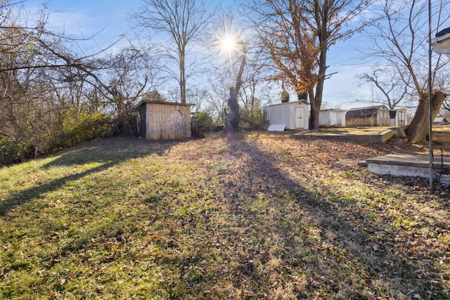 view of yard featuring a shed