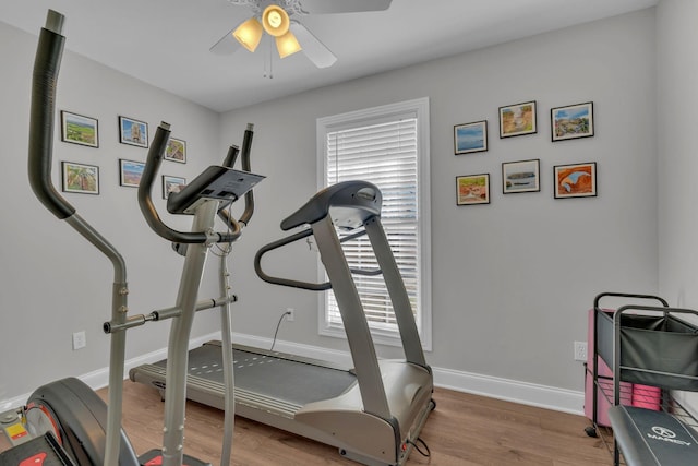 workout area with ceiling fan and wood-type flooring