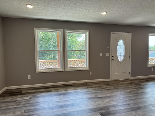 entrance foyer featuring dark hardwood / wood-style flooring, a wealth of natural light, and a textured ceiling